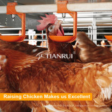 Sistema bebendo das aves domésticas automáticas de Tianrui para galinhas
